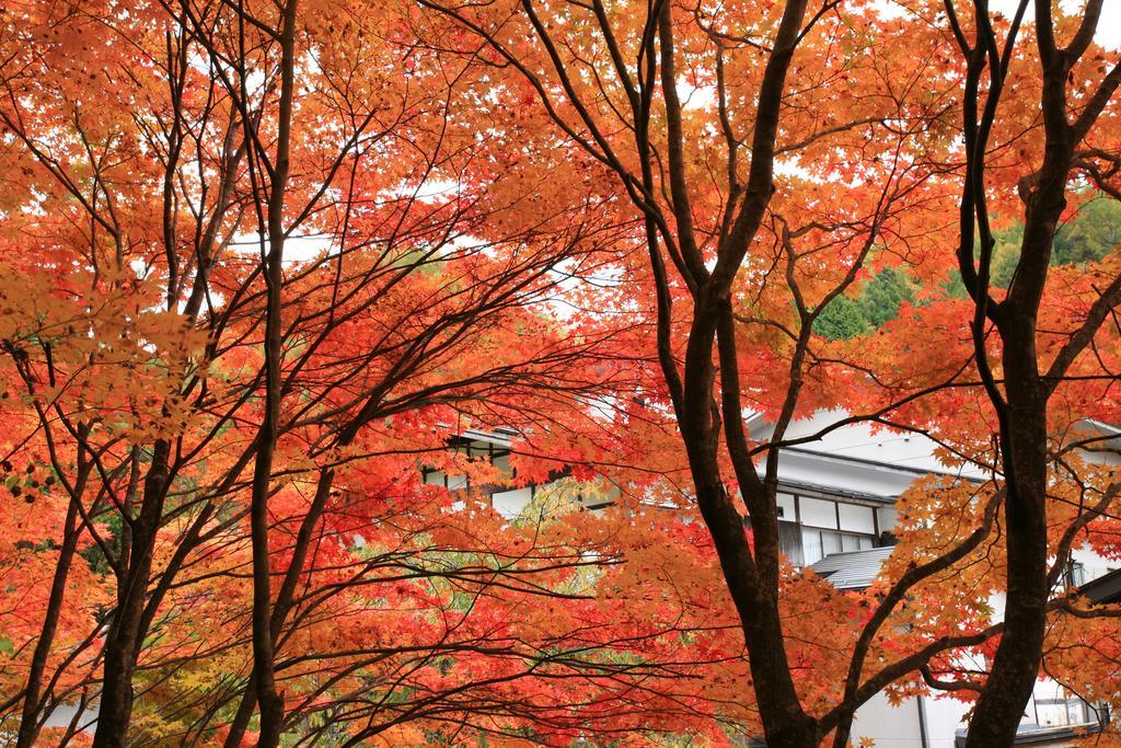 Nukumorino-yado Komanoyu Kiso Bagian luar foto