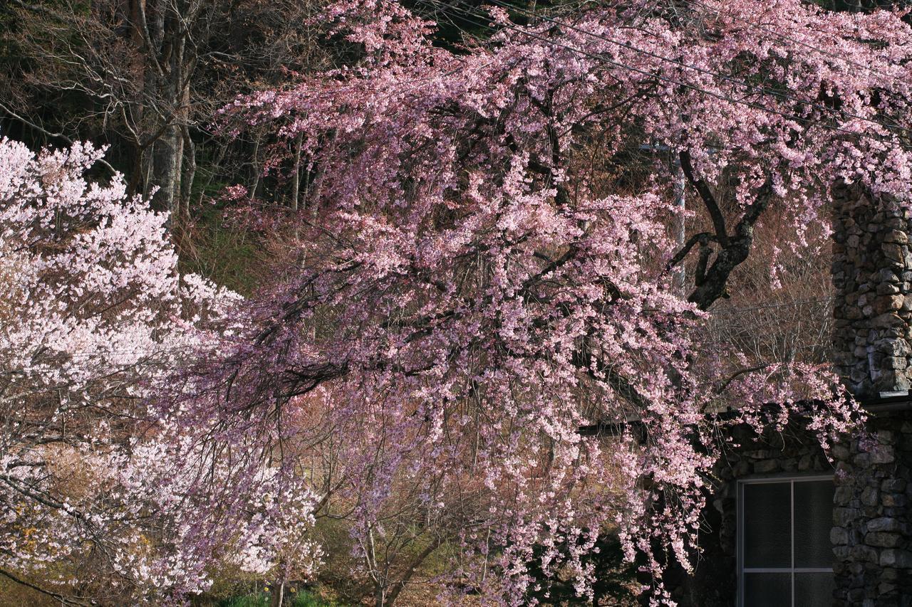 Nukumorino-yado Komanoyu Kiso Bagian luar foto